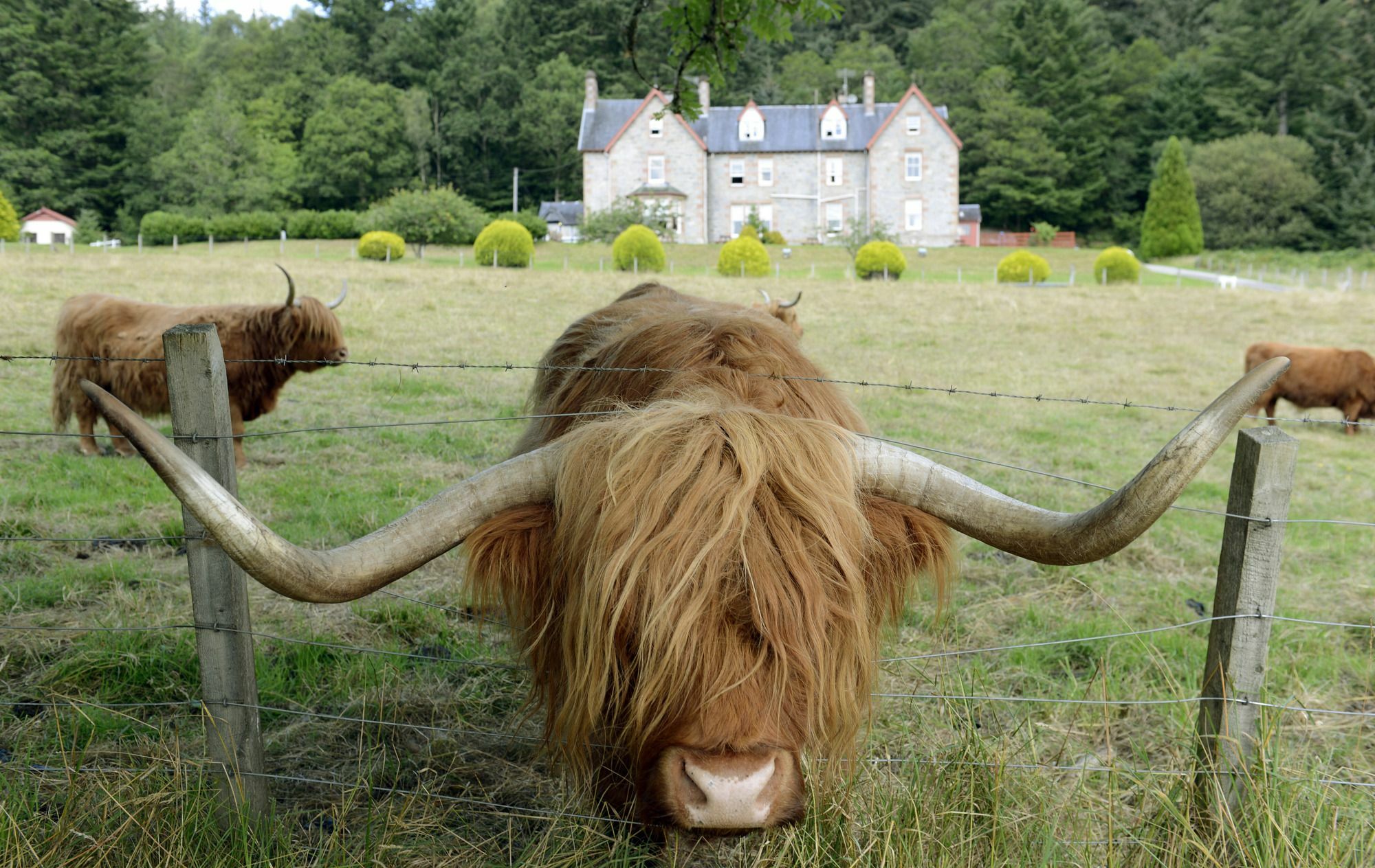 Inch Hotel Fort Augustus Zewnętrze zdjęcie