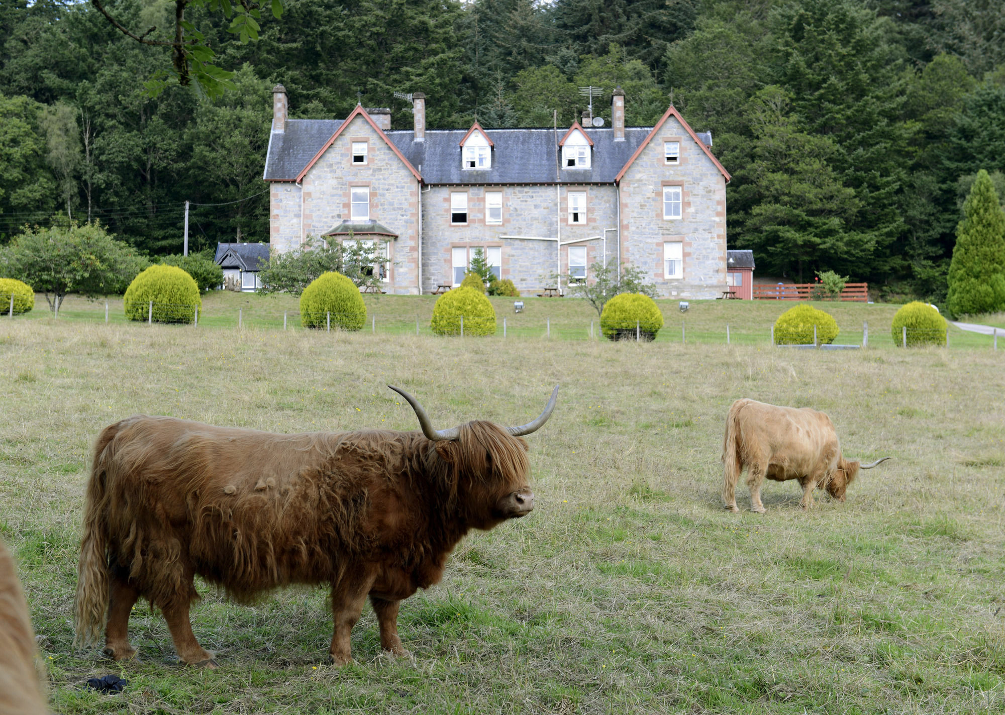 Inch Hotel Fort Augustus Zewnętrze zdjęcie